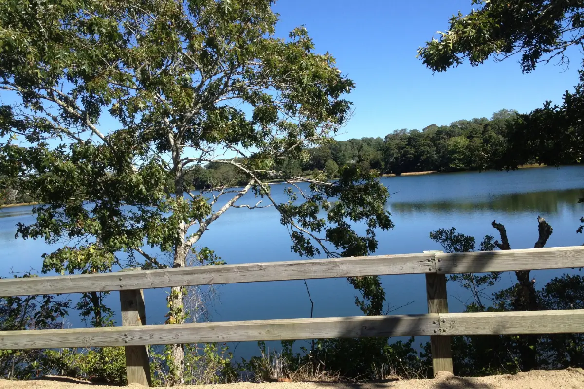Depot Pond in Eastham, Massachusetts